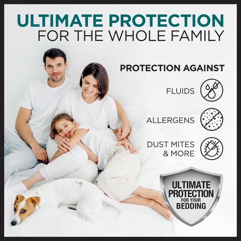 Protect-A-Bed AllerZip queen-size pillow protectors fit standard pillows securely.
