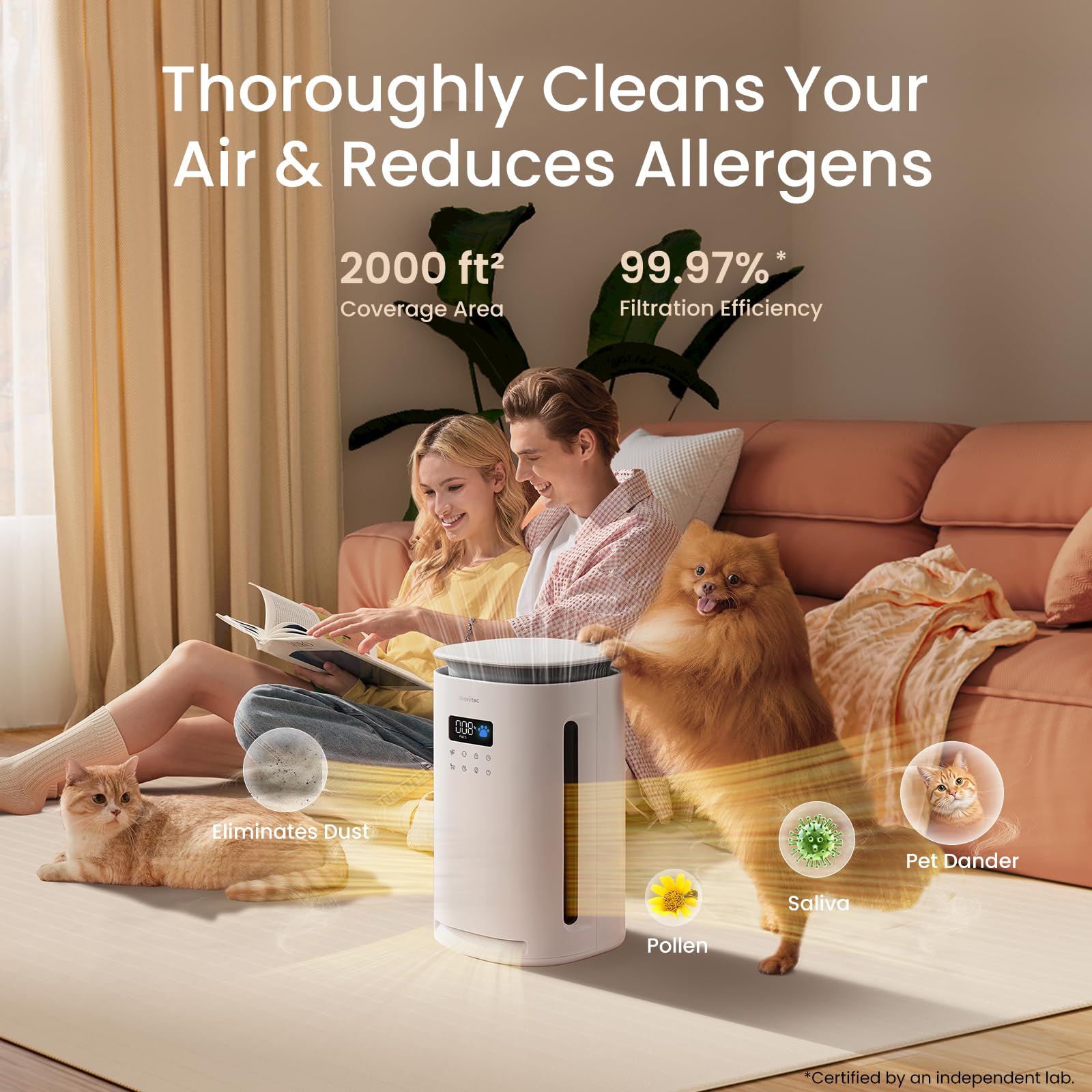 Provirtec PM2.5 sensor shows real-time air quality on the display.
