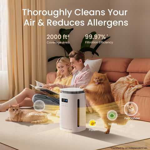 Provirtec PM2.5 sensor shows real-time air quality on the display.
