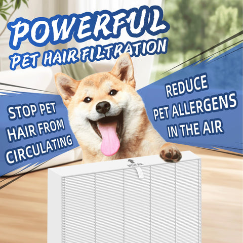 Pulluty 115115 HEPA Filter A ideal for dust and odors at home