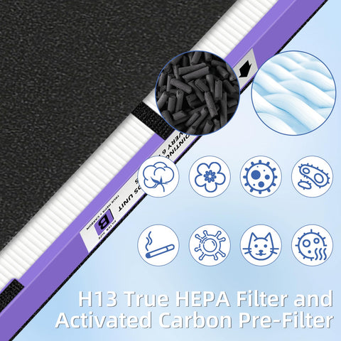 Pulluty four-pack HEPA B and eight carbon filters set for maintenance