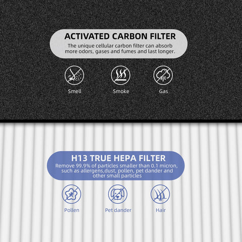 Pulluty true HEPA filter close-up highlighting high-efficiency particle capture.
