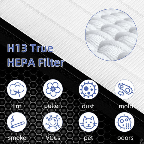 Pulluty Vital 100 activated carbon pre-filter close-up highlights odor reduction potential.