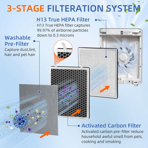 Pulluty Vital 100 filter close-up HEPA housing shows true HEPA performance.