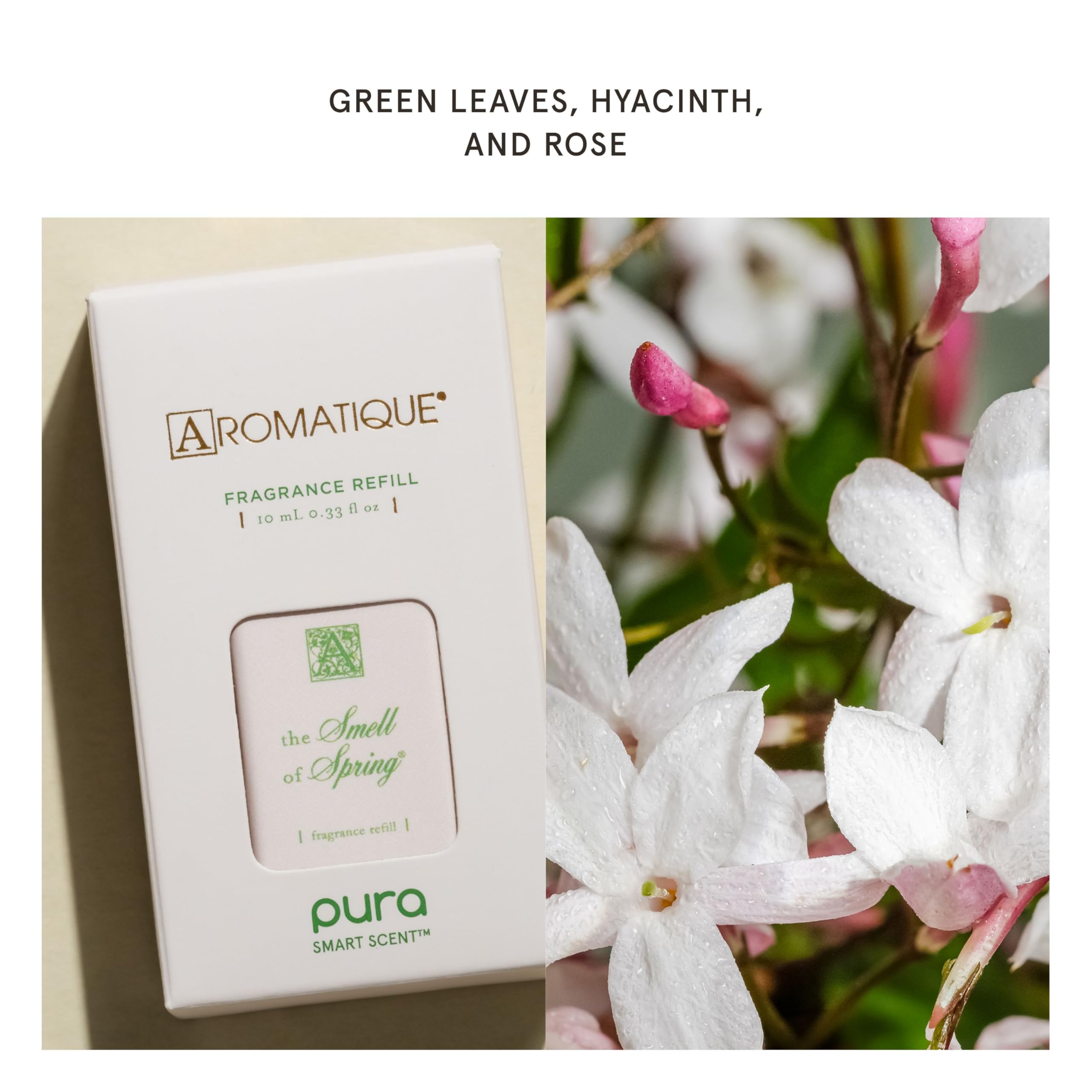 Green leaf scent note from Pura Aromatique refill for fresh spaces