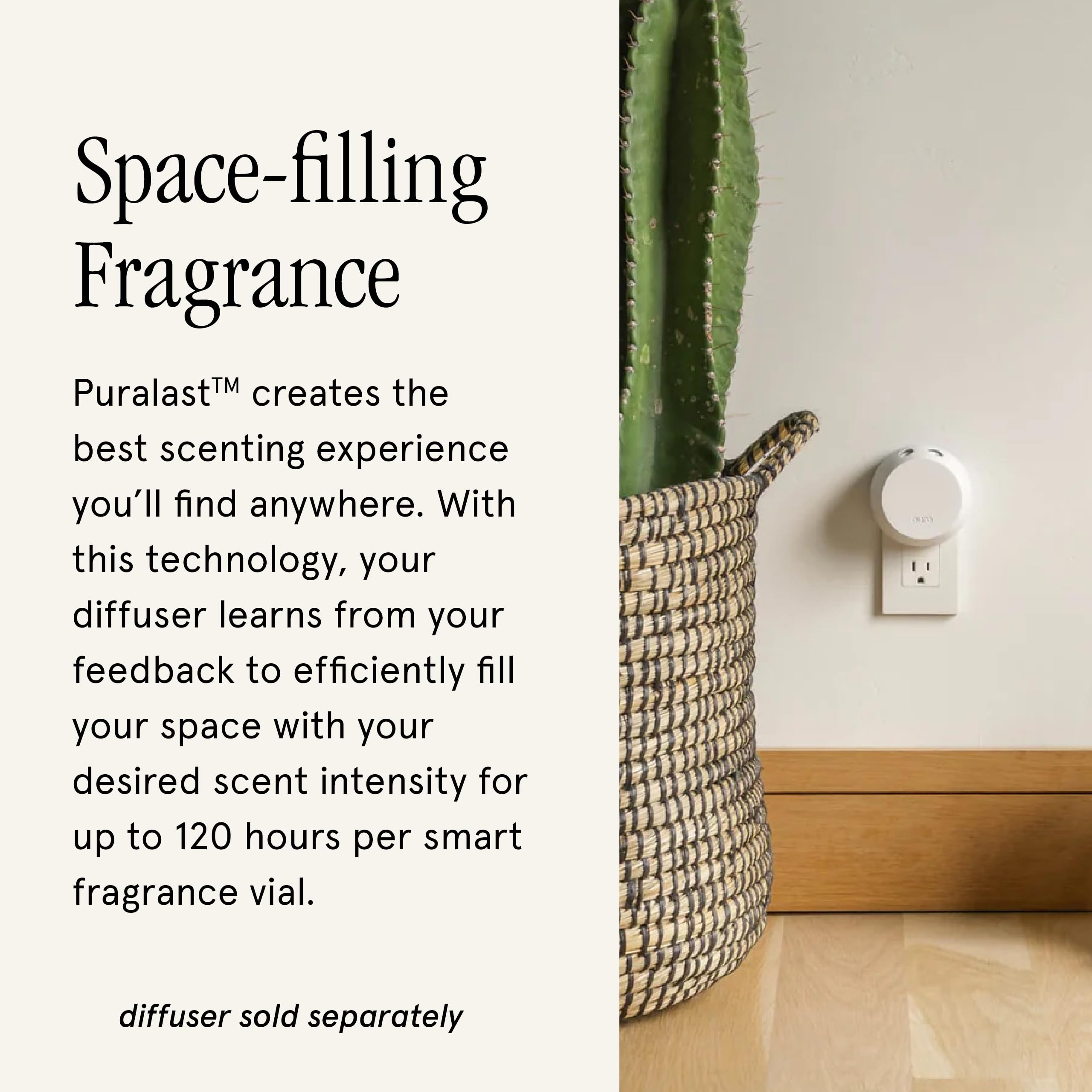 Pura Cozy Cashmere diffuser in a living room creates inviting ambience.