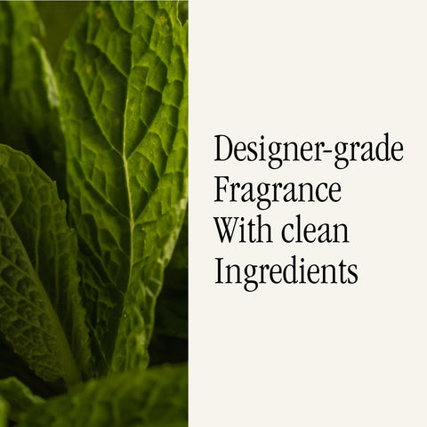 Pura Green Tea Citrus refill closeup-aroma-notes, effervescent herbs and citrus tones for uplifting vibes.