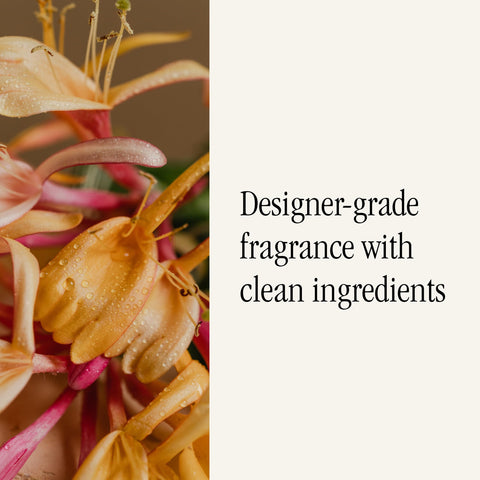 Pura health-conscious fragrance refill uses gentle ingredients for safer spaces