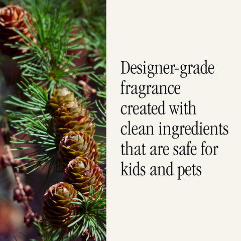 Pura long-lasting fragrance emphasizing extended scent across rooms.
