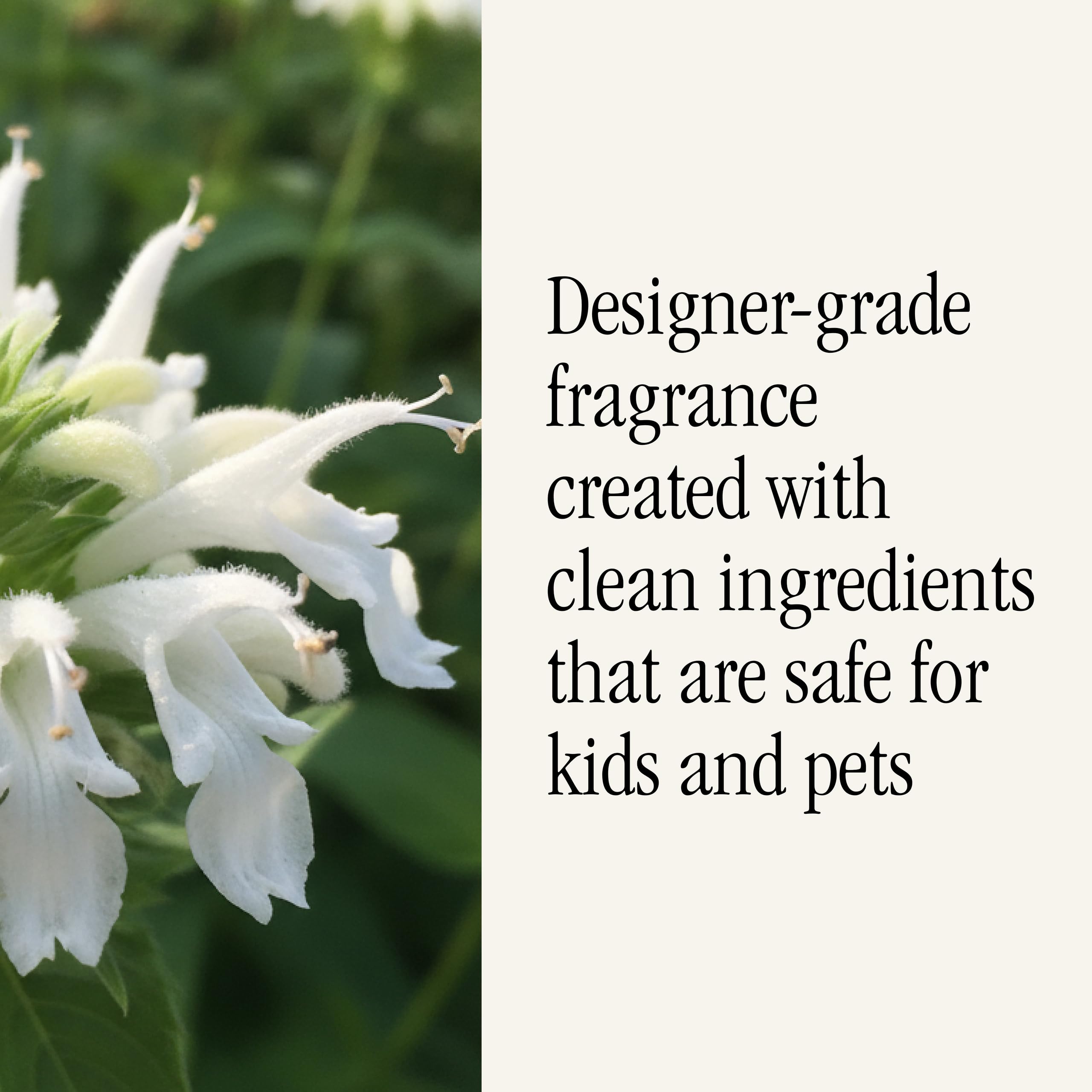 Pura long-lasting scent: up to six weeks in medium rooms.