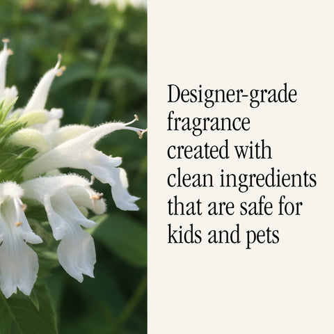 Pura long-lasting scent: up to six weeks in medium rooms.