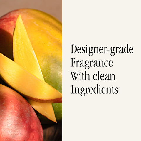 Mango blossom note in Pura Moodcast refill suggesting spring freshness
