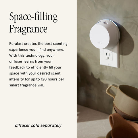 Pura & Simplicity Madagascar vanilla notes image emphasizes warm, inviting aroma.