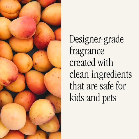 Pura Smart Home Scent Refill health-conscious design avoids harsh chemicals.