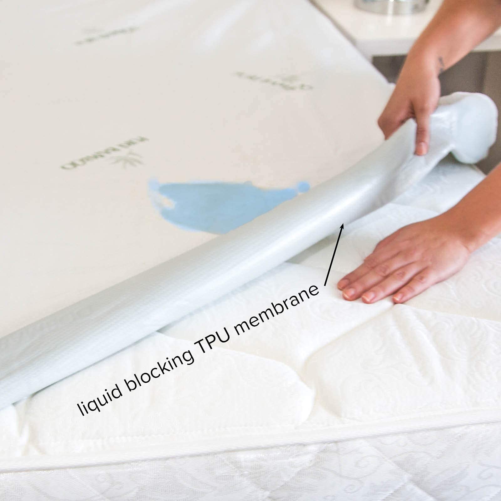 Pure Bamboo Queen protector with secure edge fit on mattress
