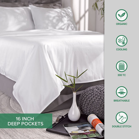 Pure Bamboo Queen Sheets Florida design concept and imported quality