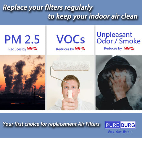 PUREBURG cleaning reminder supports monthly purifier maintenance