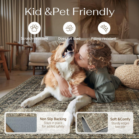 PureCozy Vintage Distressed Pattern Rug adds warm retro charm to interiors.