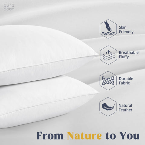 puredown goose feathers and down pillow pack shot highlighting two king size pillows