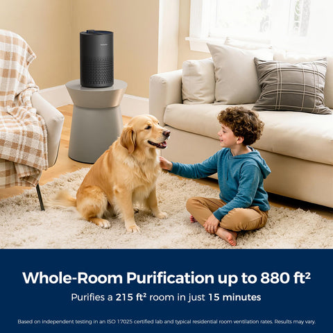 Purivortex PX500 Black control panel demonstrating easy timer and mode selection