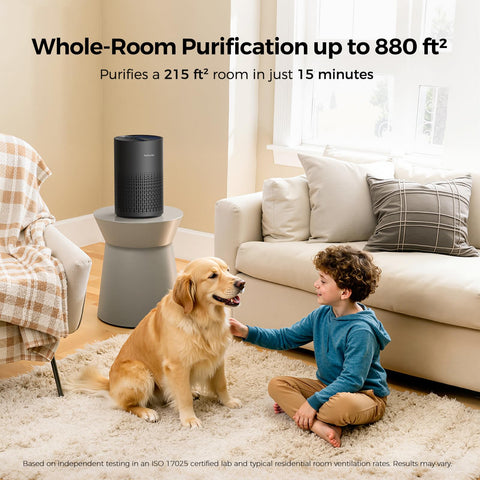 Purivortex PX500 control panel with simple sleep and timer settings