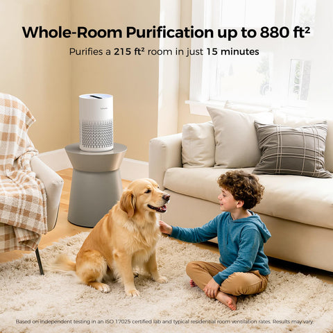 Purivortex PX500 white top view highlighting a sleek, space-saving design.