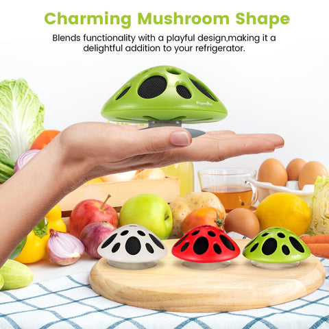 Purriko fridge deodorizer cute gift-pack adds a practical kitchen touch