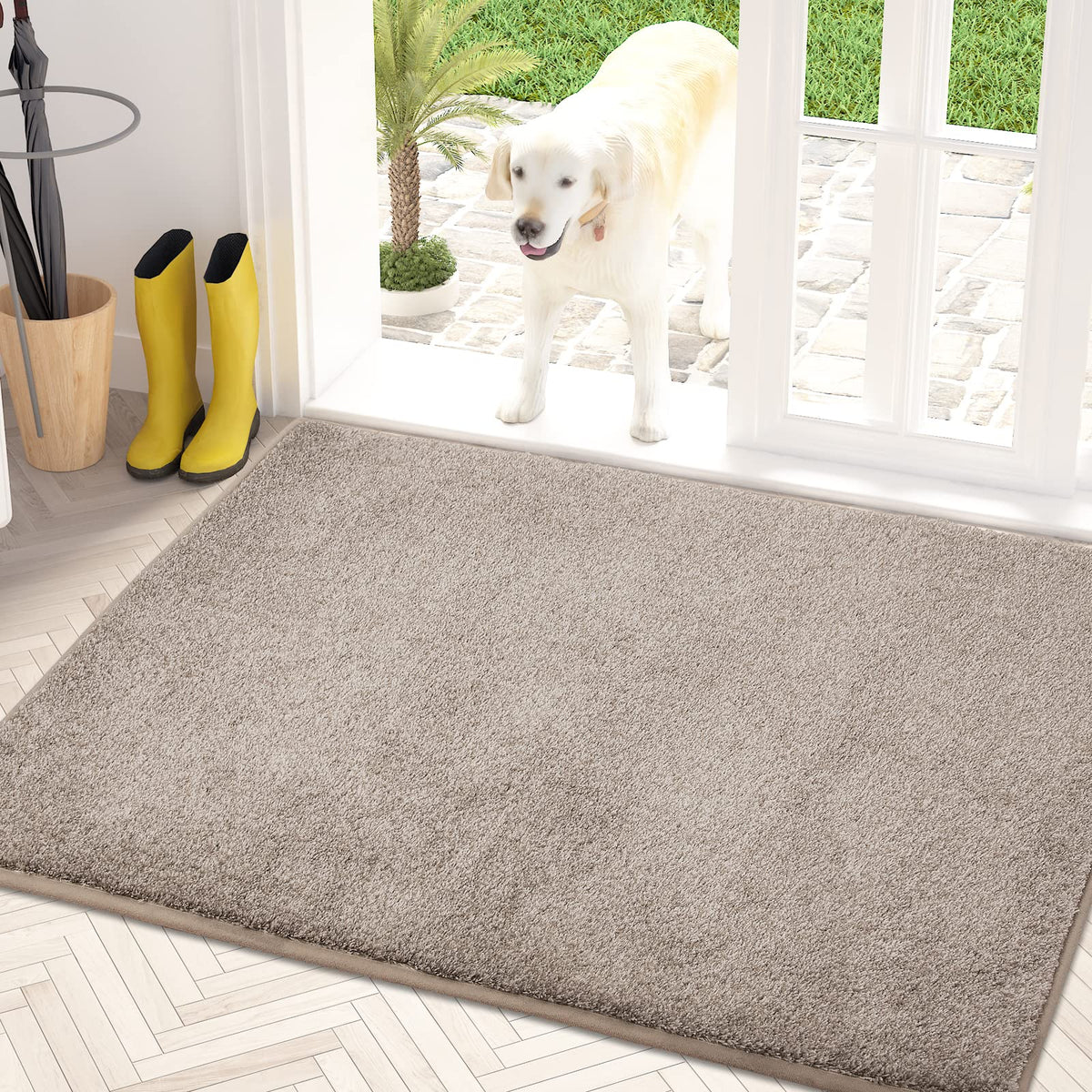PURRUGS dirt trapping door mat 315x47 catches dirt at the entry.