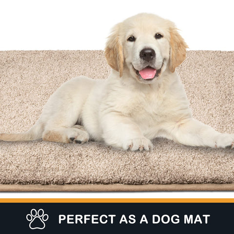 PURRUGS pet-friendly door mat resists claws while catching dirt
