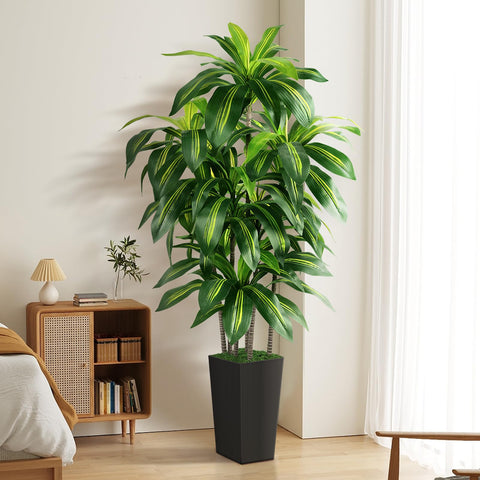PUUKU housewarming gift dracaena tree adds instant greenery