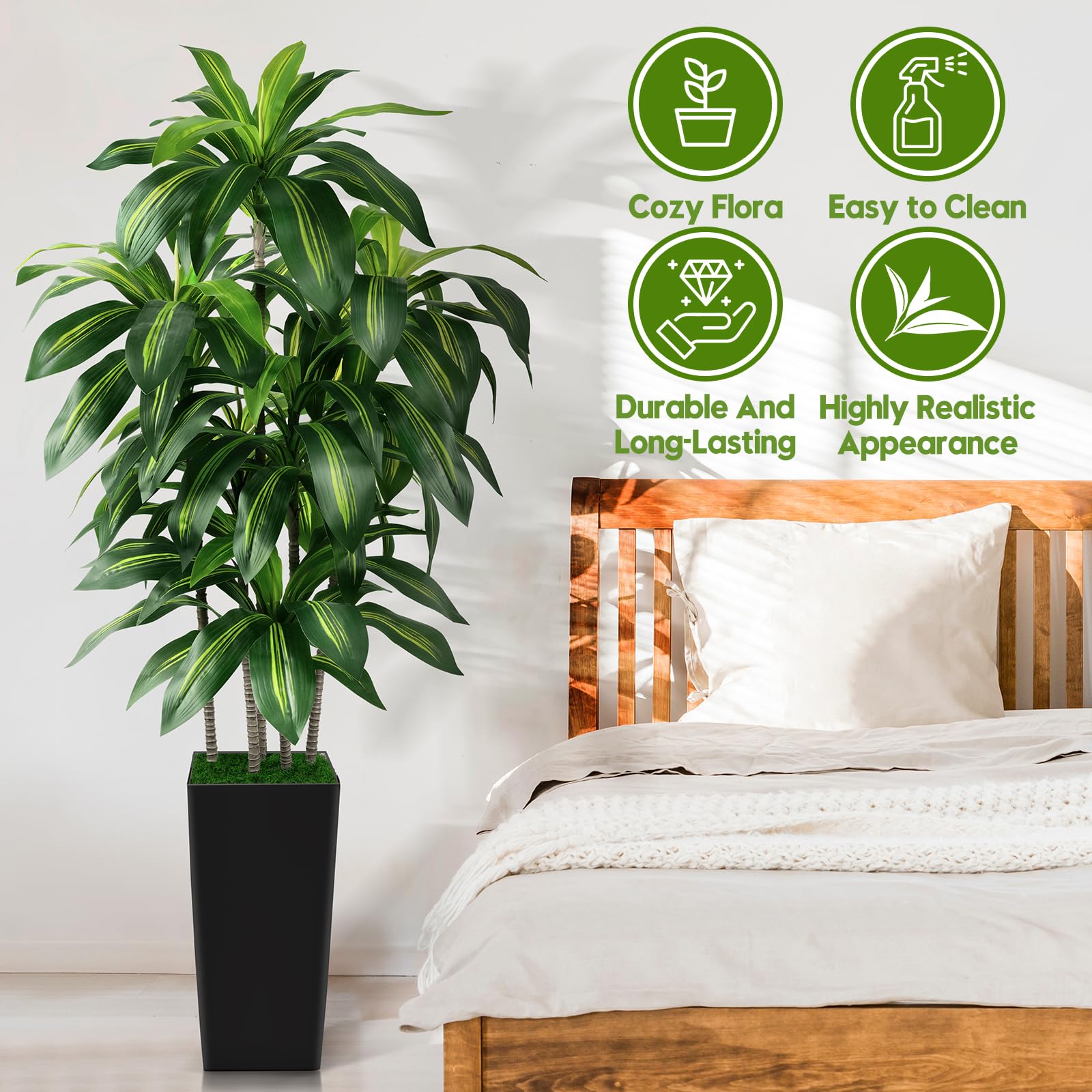 PUUKU versatile indoor decor dracaena tree for living rooms