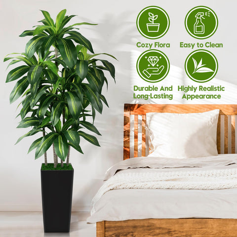 PUUKU versatile indoor decor dracaena tree for living rooms