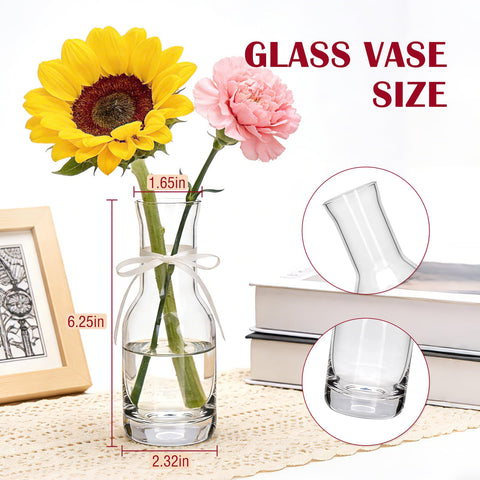 QAPPDA 6-inch clear glass vase side profile for compact arrangements