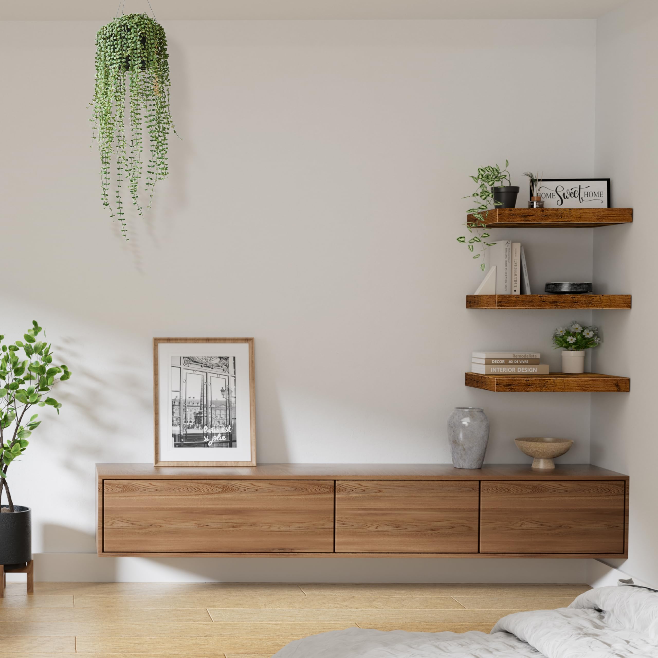 QEEIG wall-mounted display ready for plants, books, and decor.