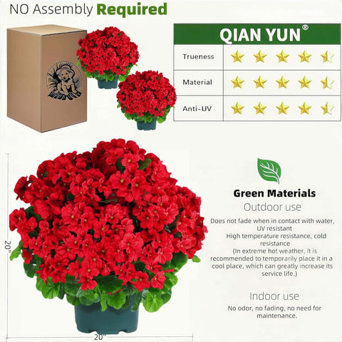 QIANYUN geranium bush features dense blooms for a lush outdoor look.