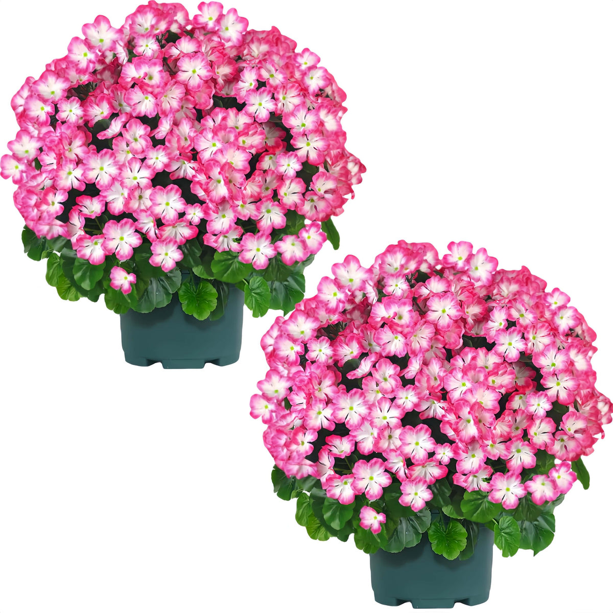QIANYUN artificial geranium bush on the front porch with UV-resistant color for lasting curb appeal.