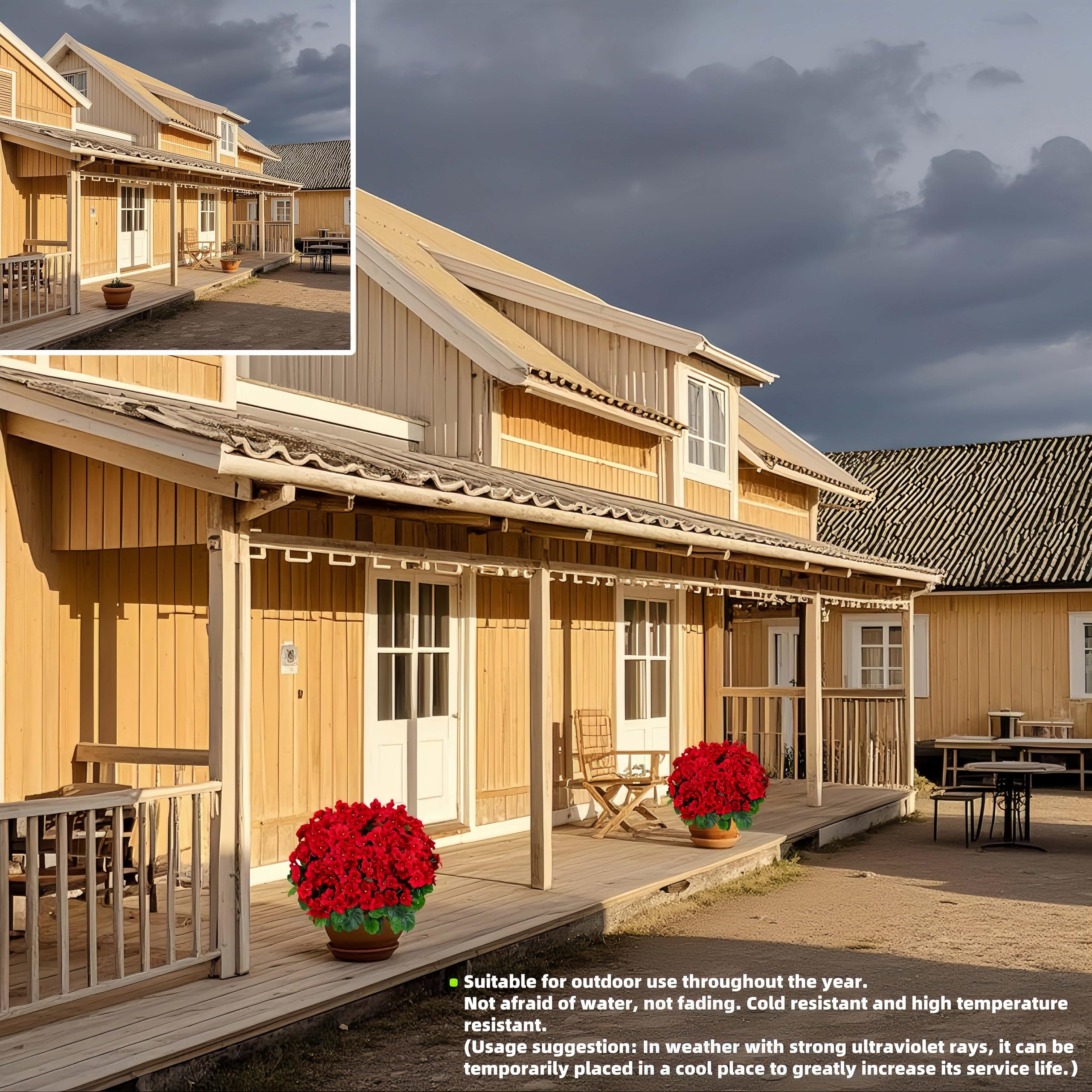 QIANYUN red topiary-style geranium enhances yard accents with vibrant color.