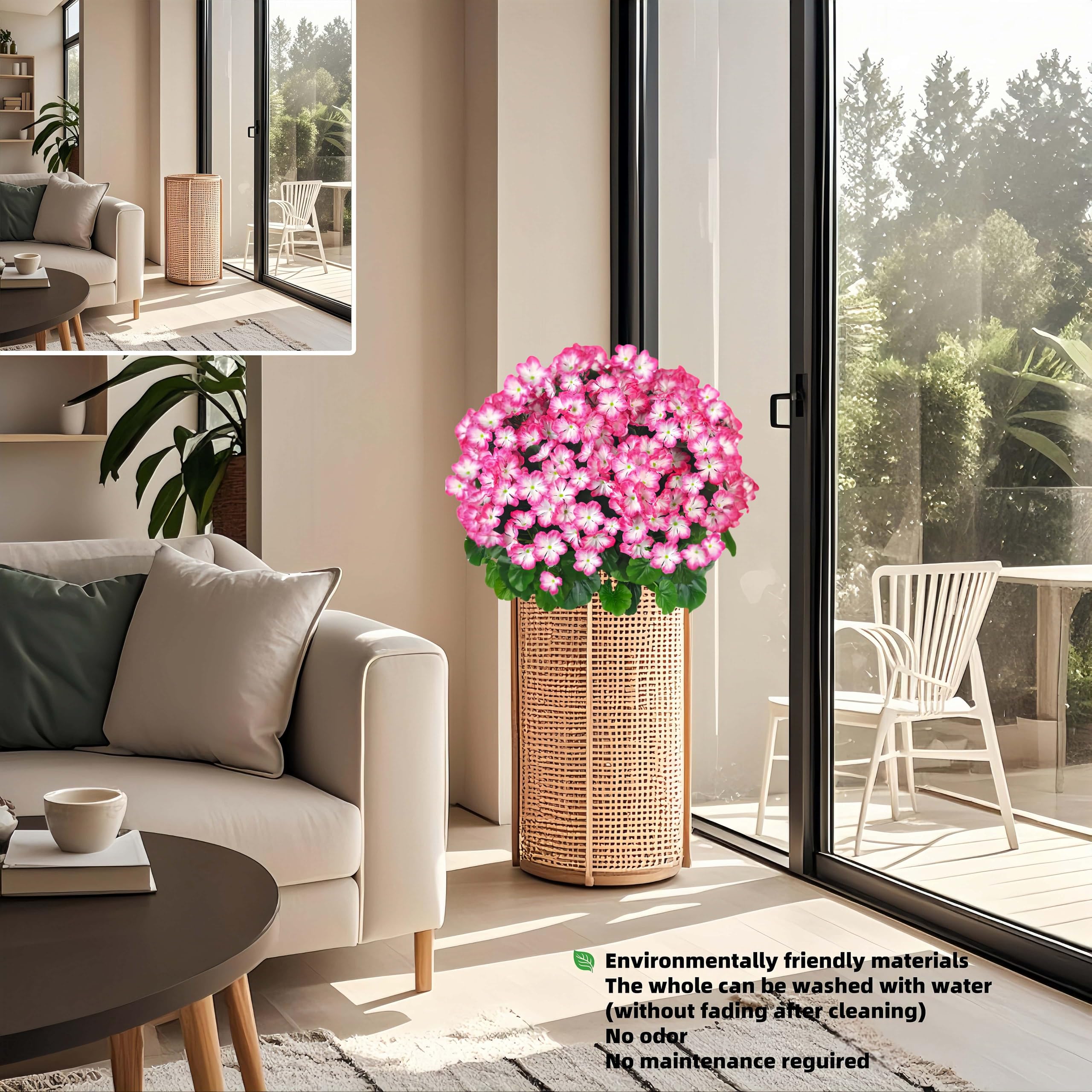QIANYUN uv-resistant geranium bush maintains vibrant color in sun-drenched spaces.