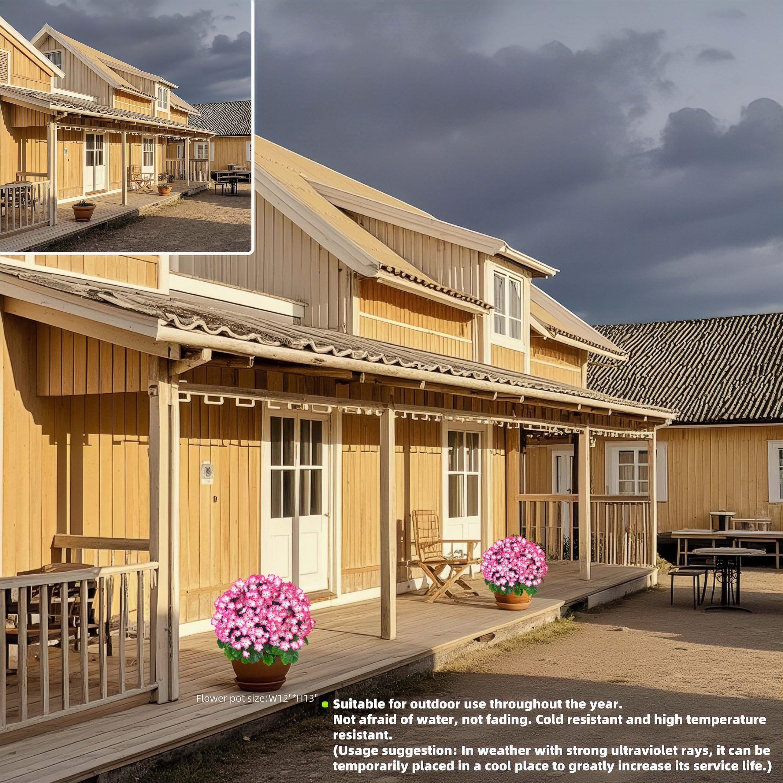 QIANYUN two-pack geraniums provide versatile yard decor for entryways or balconies.