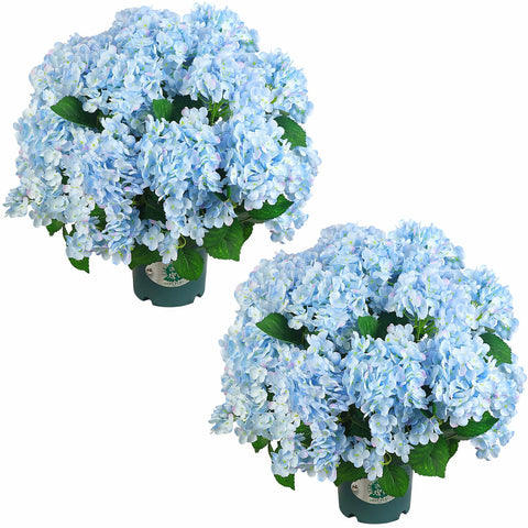 QIANYUN artificial hydrangea bush ready to display in pot for instant indoor decor