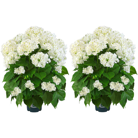 QIANYUN artificial hydrangea tree 29in with dense greenery for living spaces
