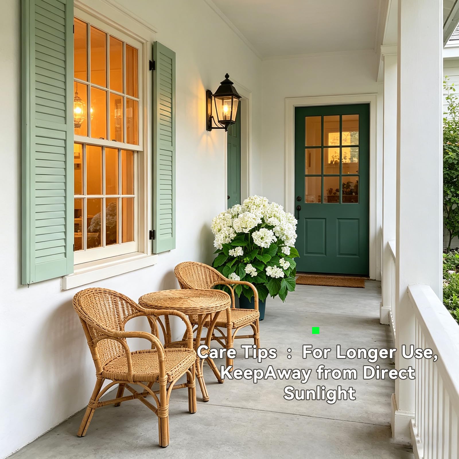Indoor and shaded outdoor scene with QIANYUN hydrangea trees