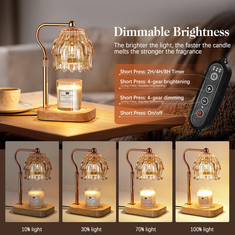 QiMH gold amber finish on base and lamp highlights stylish design