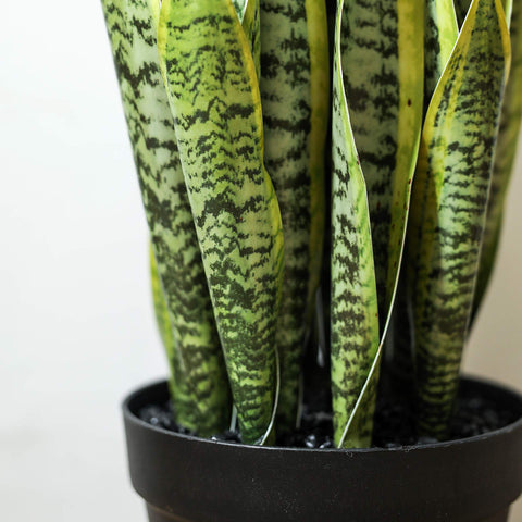 QL DESIGN plant on office desk provides stylish maintenance-free focal point.