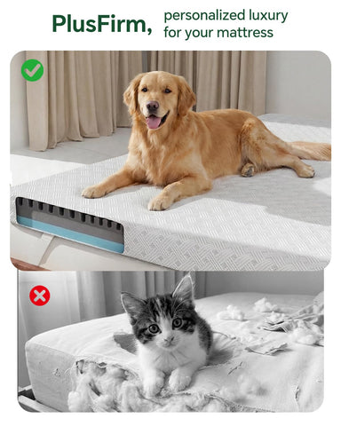 Qocismile removable machine-washable cover with durable zipper.
