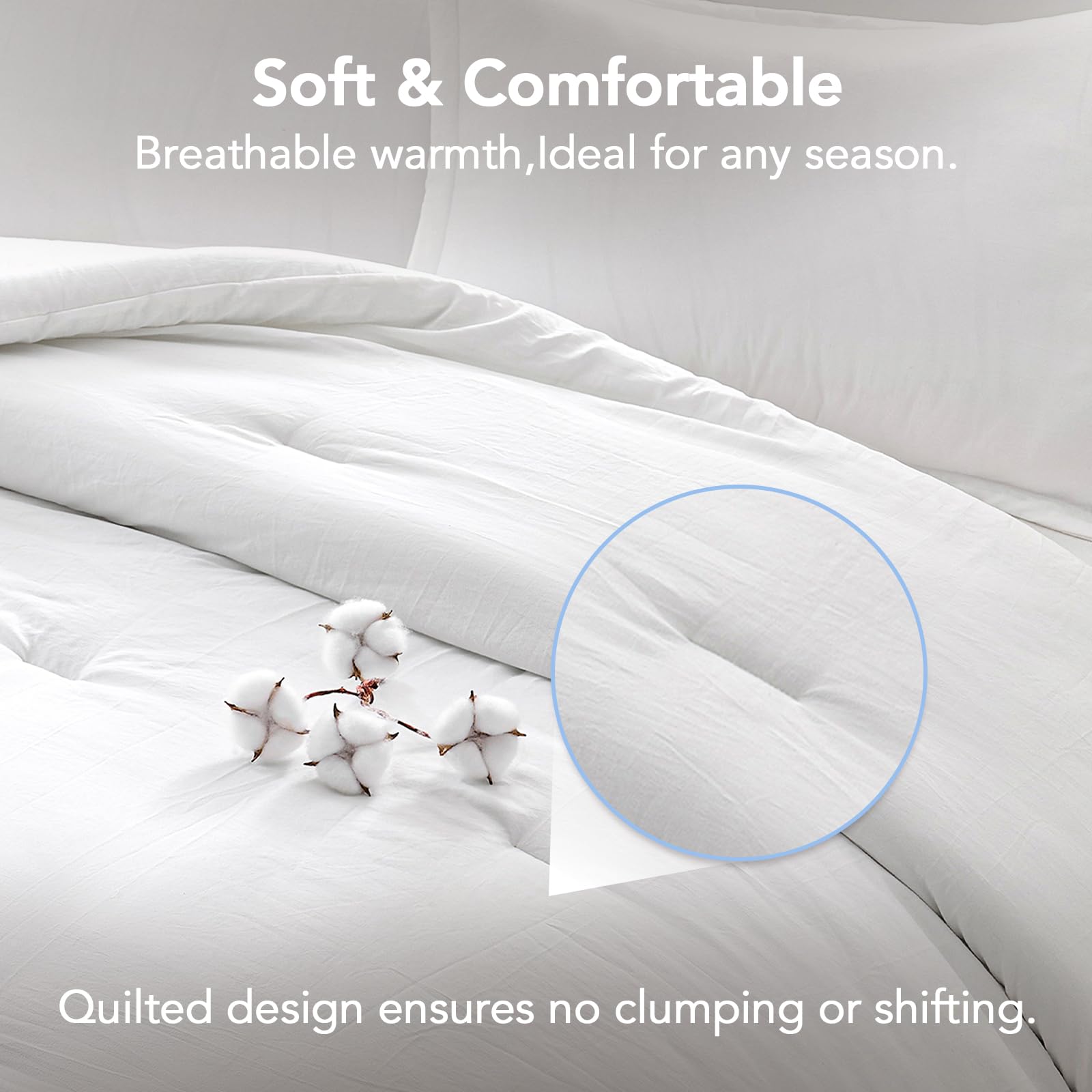Quataly packaging shows vacuum-sealed box for easy storage and freshness.