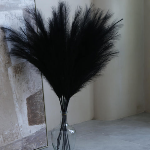 QUBITFUL no-shedding pampas care tips help keep spaces tidy.