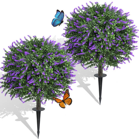Quirlory lavender topiary ball 24in shows dense foliage for instant curb appeal