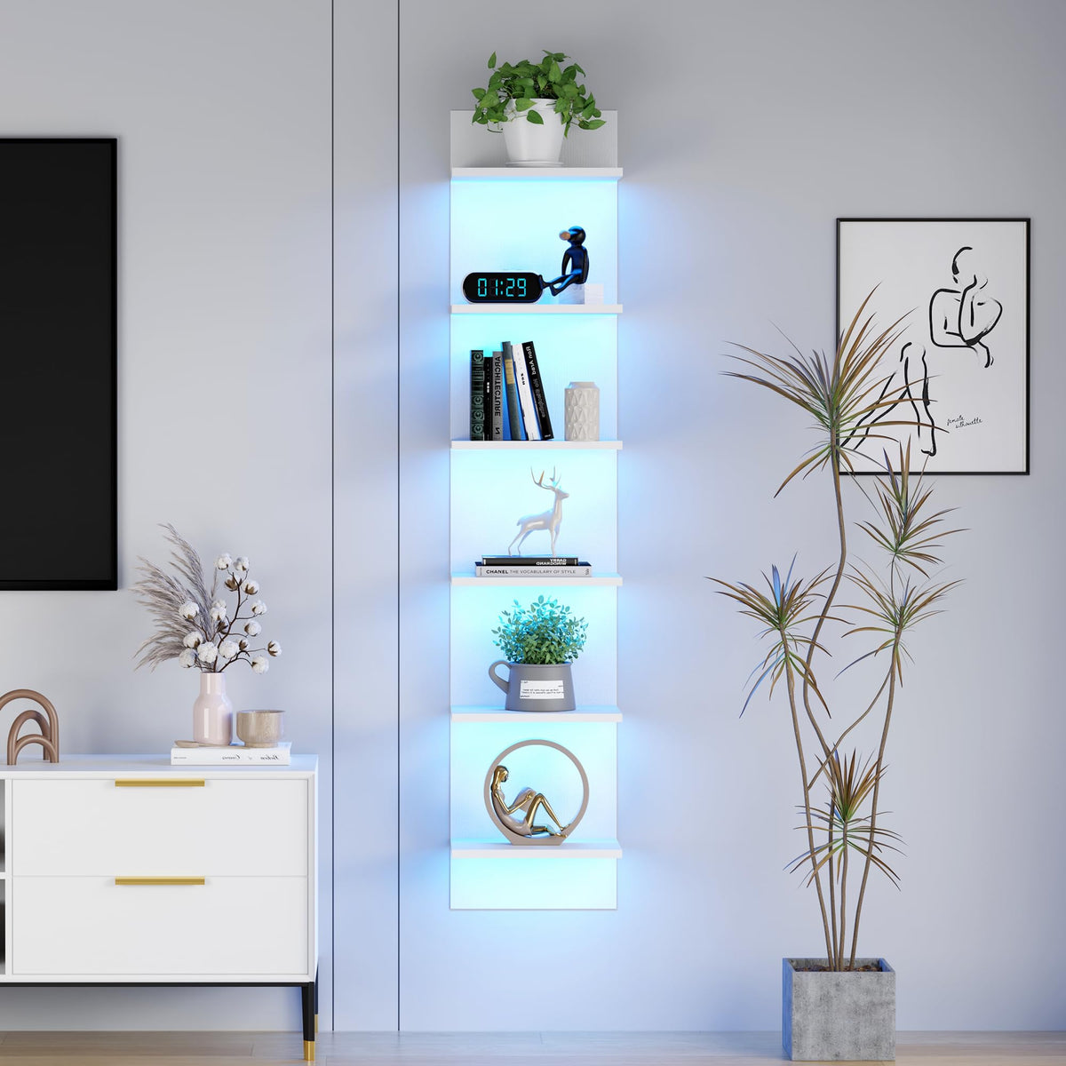 Qupui 6-tier wall shelf with LED lighting elevates display and organization