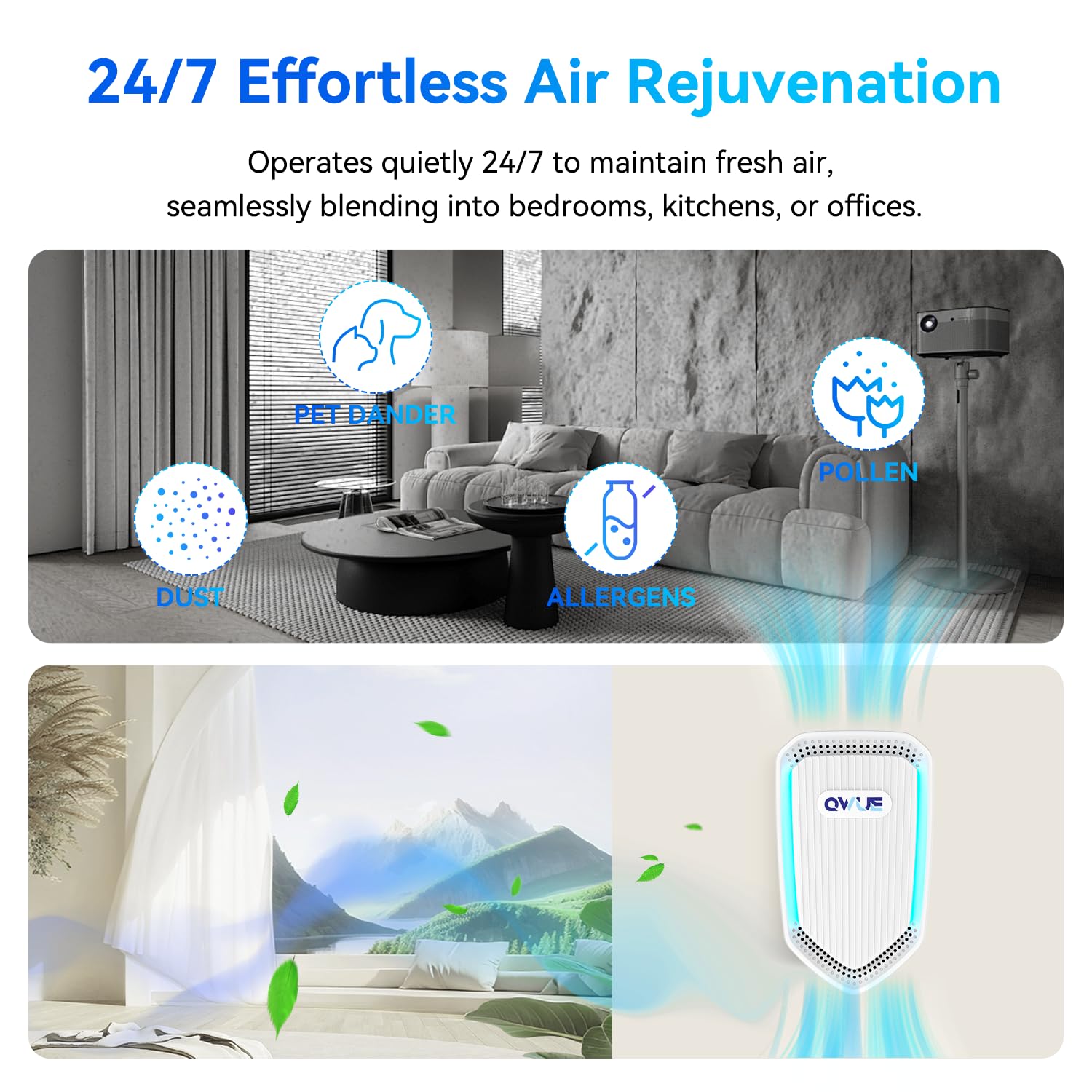 QWUE 8Pack office setup offering continuous purification for focus